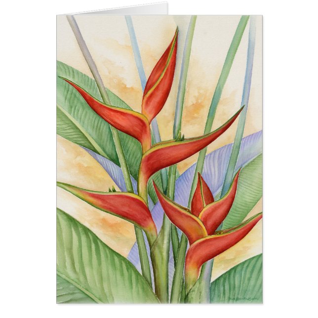 Fleurs tropicales rouges de Heliconia peignant - (Devant)