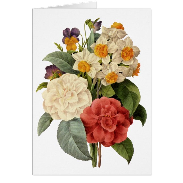 Fleurs vintages, Camellias et Narcisse, Redoute (Devant)