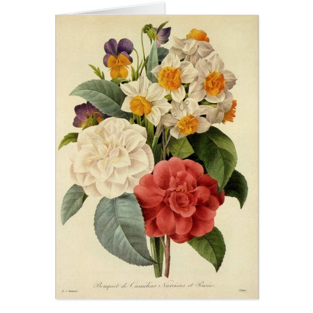 Fleurs vintages, Camellias et Narcisse, Redoute (Devant)