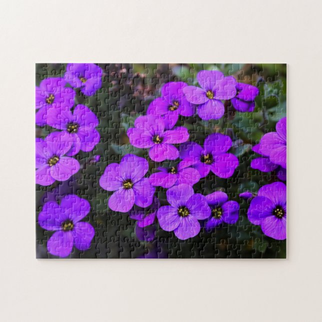 Fleurs violettes Jigsaw Puzzle Printemps (Horizontal)