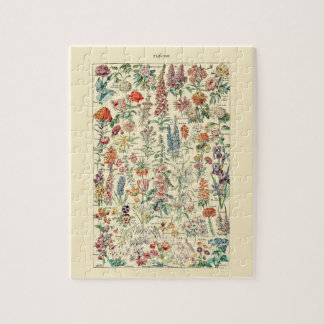 Fleurs Wildblume Garden Botanisches Diagramm
