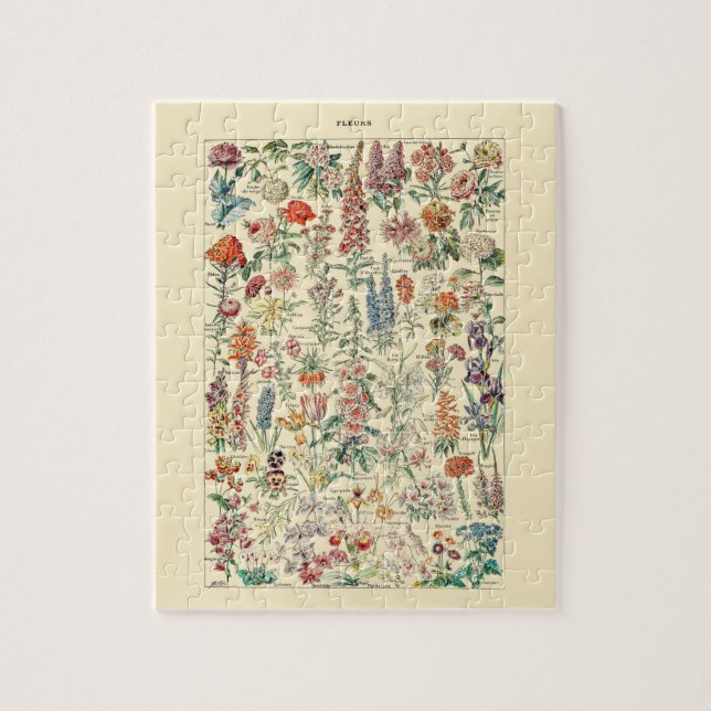 Fleurs Wildblume Garden Botanisches Diagramm (Vertikal)