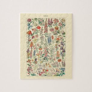 Fleurs Wildflower-Garten Botanisches Diagramm