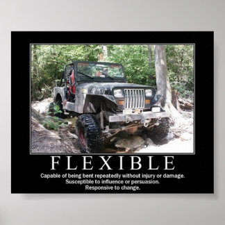 FLEXIBL POSTER