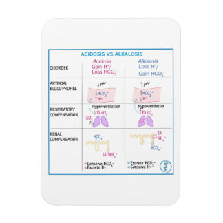 Flexible Acidose contre Akalosis Magnet