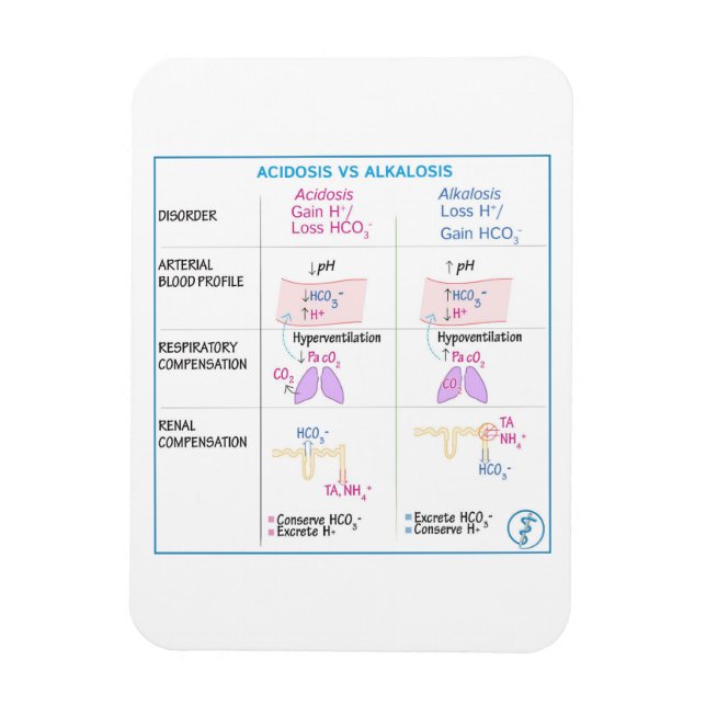 Flexible Acidose contre Akalosis Magnet (Vertical)