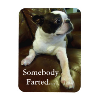 Flexible Amusant Farting Boston Terrier Magnet