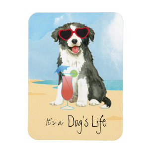 Flexible Bordure d'été Collie Magnet