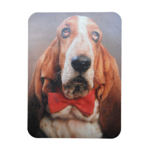 Flexible Bouteille Magnet Premium Hound Dans Cravate Bow Ro