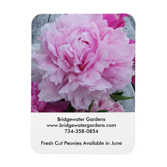 Flexible Bridgewater Gardens Peonies Magnet (Vertical)