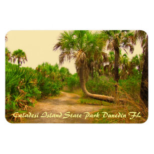 Flexible Caladesi Island Dunedin Fl Flexi Magnet