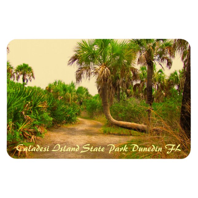 Flexible Caladesi Island Dunedin Fl Flexi Magnet (Horizontal)