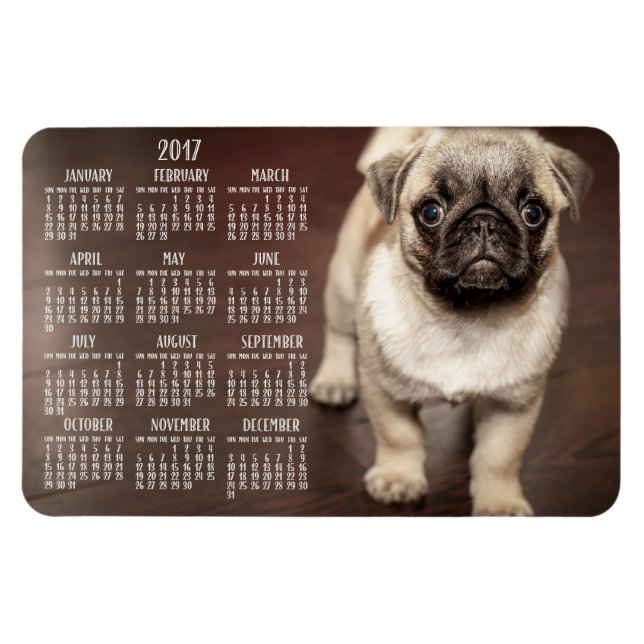 Flexible Calendrier Chien 2017 Photo Grand Magnet 4x6 (Horizontal)