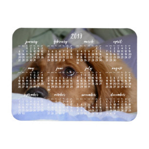Flexible Calendrier Golden Retriever 2019 Avec Magnet Photo