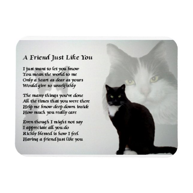 Flexible Cat Design ami Poem Magnet (Horizontal)