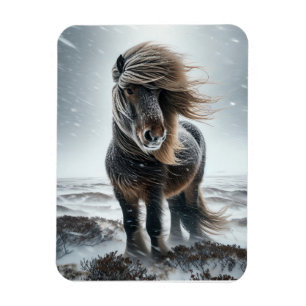 Flexible Cheval Islandais dans son Élément Magnet