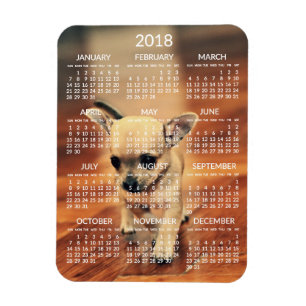 Flexible Chihuahua 2018 Calendrier Magnet photo 3x4 petit