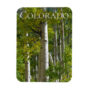 Flexible Colorado Aspens Designer Fridge Magnet