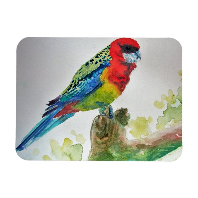 Flexible Cute Rosella Parrois oiseau Aquarelle Magnet d'art (Horizontal)