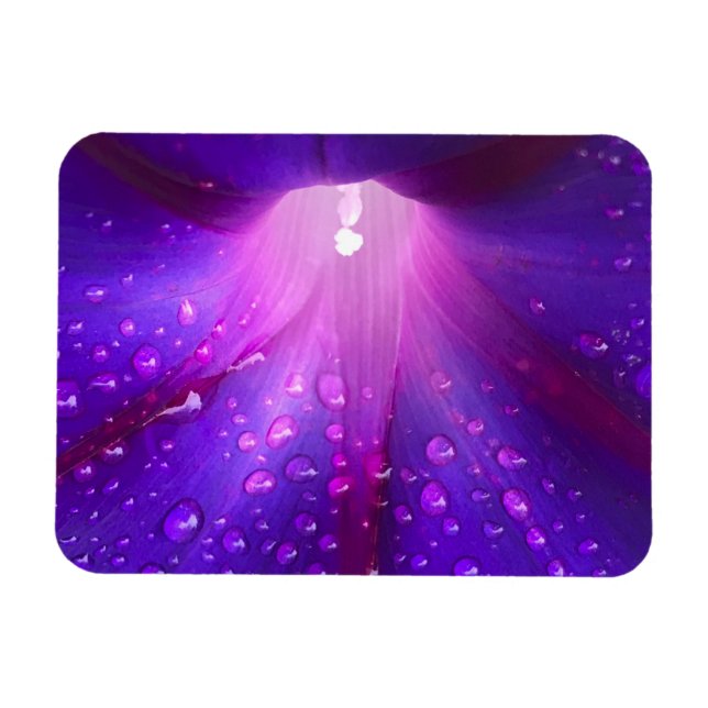 Flexible Dewy Morning Glory Magnet (Horizontal)