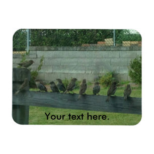 Flexible Éperons Oiseaux assis sur un Magnet ferroviaire