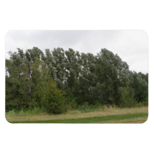 Flexible Gamme d'arbres penchés Paysage Magnet Premium