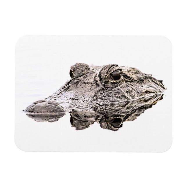 Flexible Gator Magnet (Horizontal)