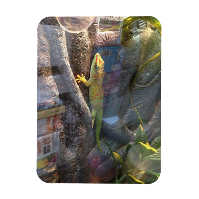 Flexible Géant Day Gecko Magnet (Vertical)