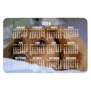Flexible Golden Retriever Calendar 2024 Grand Magnet photo