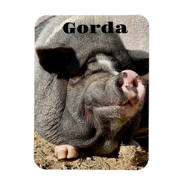 Flexible Gorda Magnet (Vertical)