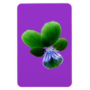 Flexible Green Pansy Premium Magnet