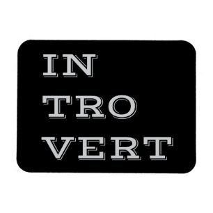 Flexible Gris Introvert Flexi Magnet