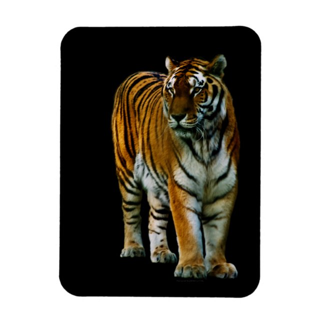 Flexible Hu Lin Premium Magnet (Vertical)