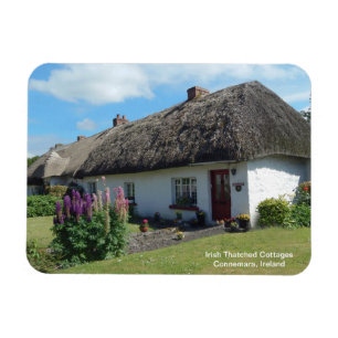 Flexible Image irlandaise de Photo Magnet