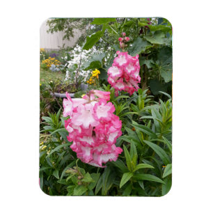 Flexible Jardin floral de Penstemon Anniversaire Magnet