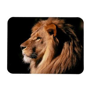 Flexible Lion Magnet