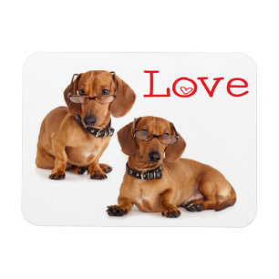 Flexible Love Dachshund Puppy Dog Fridge Magnet