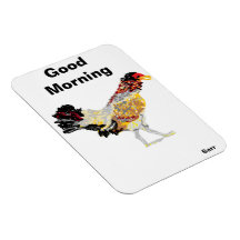 Magnet /Beau poulet du matin
