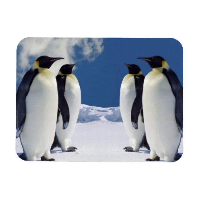 Flexible Magnet de pingouins (Horizontal)