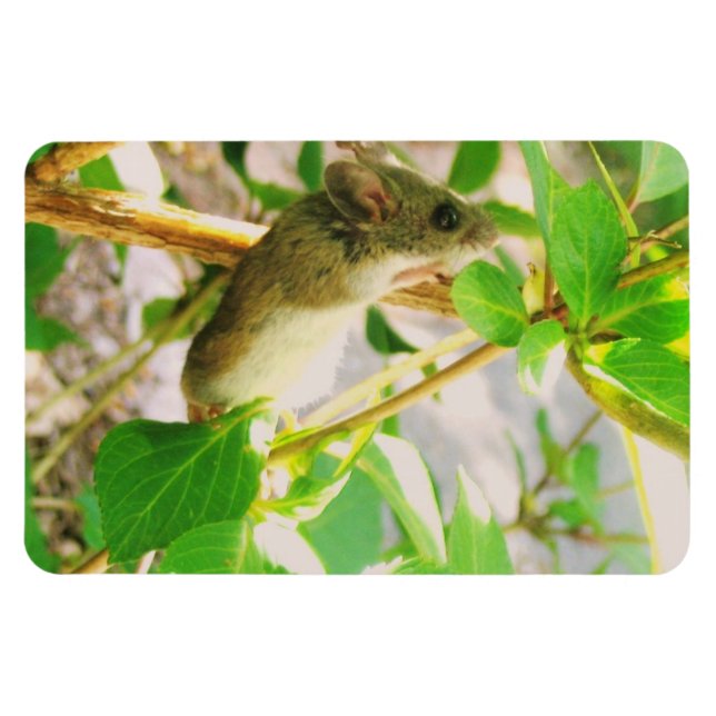 Flexible Magnet de souris (Horizontal)