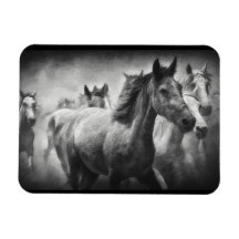 Magnet de stampede de cheval