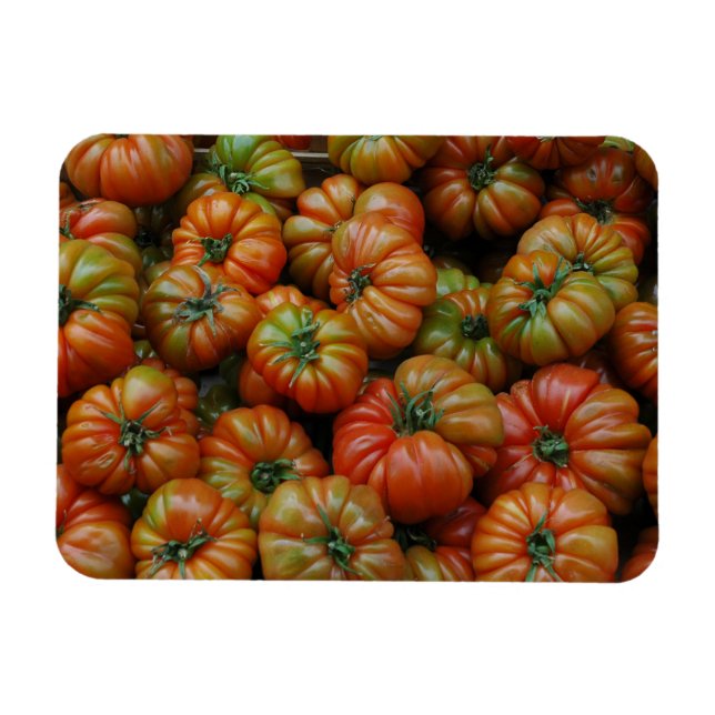 Flexible Magnet de tomates (Horizontal)
