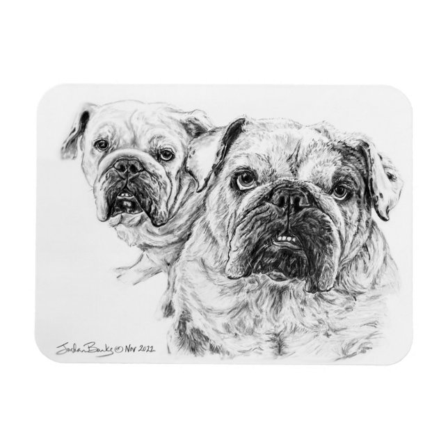 Flexible Magnet der Bald Divas! (Horizontal)