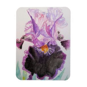 Flexible Magnet en aquarelle d'art floral Iris Violet