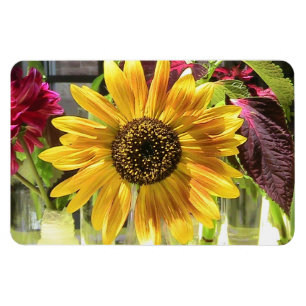 Flexible Magnet Flexi Premium de tournesol