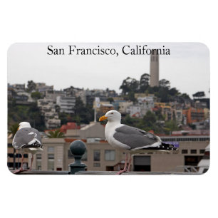 Flexible Magnet Flexi Premium Seagull de San Francisco