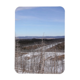 Flexible Magnet photo de la forêt de Pike