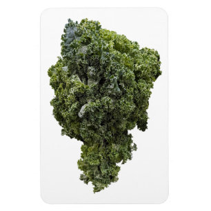 Flexible Magnet photo Kale