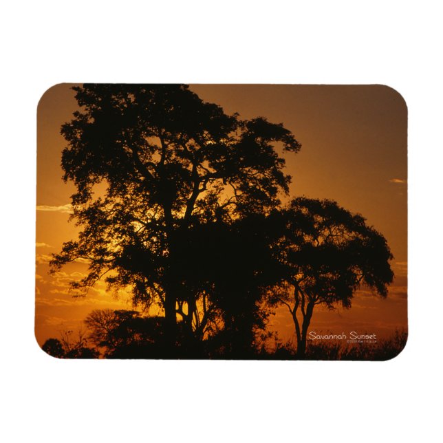 Flexible Magnet photo Savannah Sunset (Horizontal)