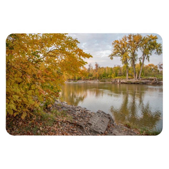 Flexible Magnet plat 4x6 (Horizontal)